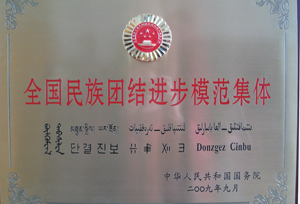 全國民族團結進步模范集體200909