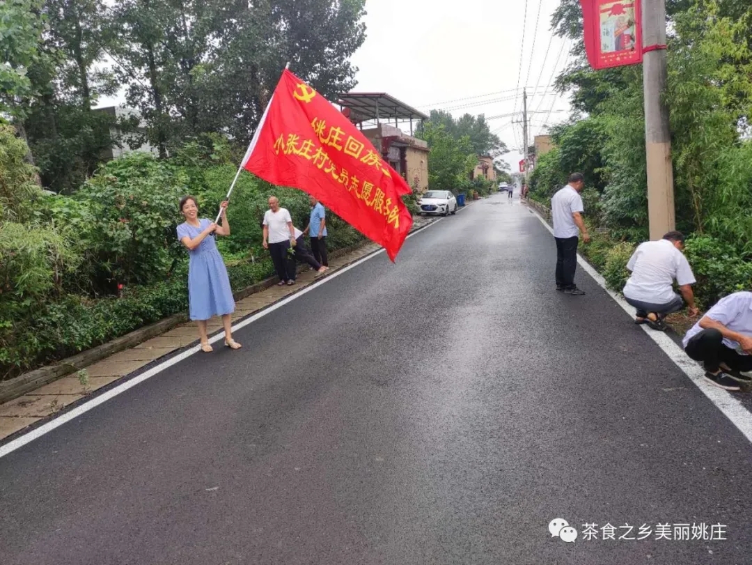 姚莊回族鄉(xiāng)組織開(kāi)展“一人一把掃帚一段路”主題黨日活動(dòng)